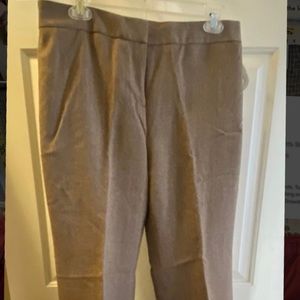 Ann Taylor LOFT slacks